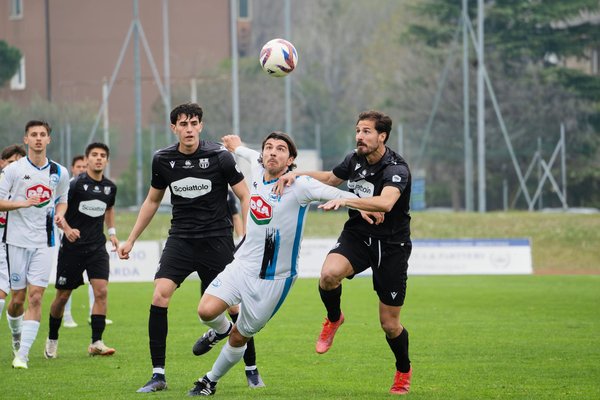 10 Meilleurs Bancs de Musculation à Domicile : Guide Ultime pour S'entraîner chez Soi